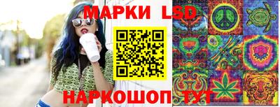 молекула духа Будённовск