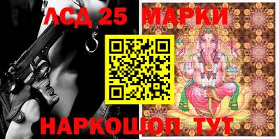 молекула духа Будённовск