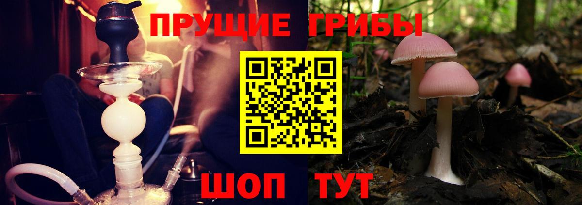 Псилоцибиновые грибы MAGIC MUSHROOMS Можайск